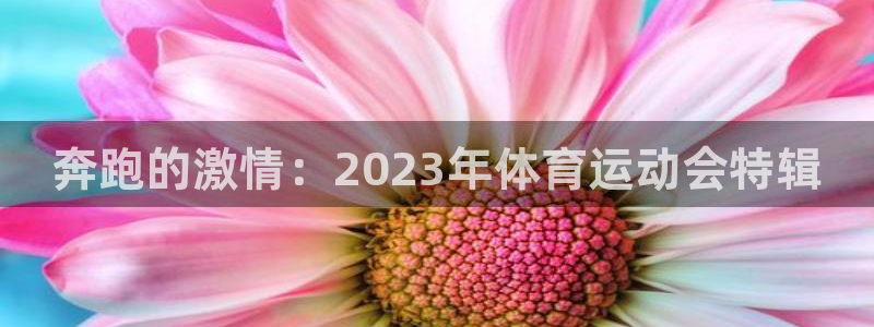 米兰体育官网下载平台注册要钱吗安全吗:奔跑的激情:2023年